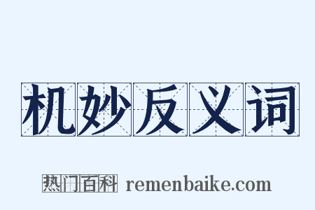 机妙反义词是什么意思的图片